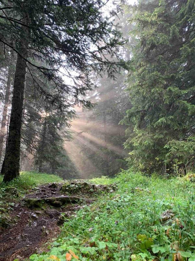 Vikendica Borje Vila Žabljak Exterior foto